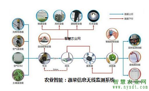 智慧农业:蔬菜信息无线监测系统