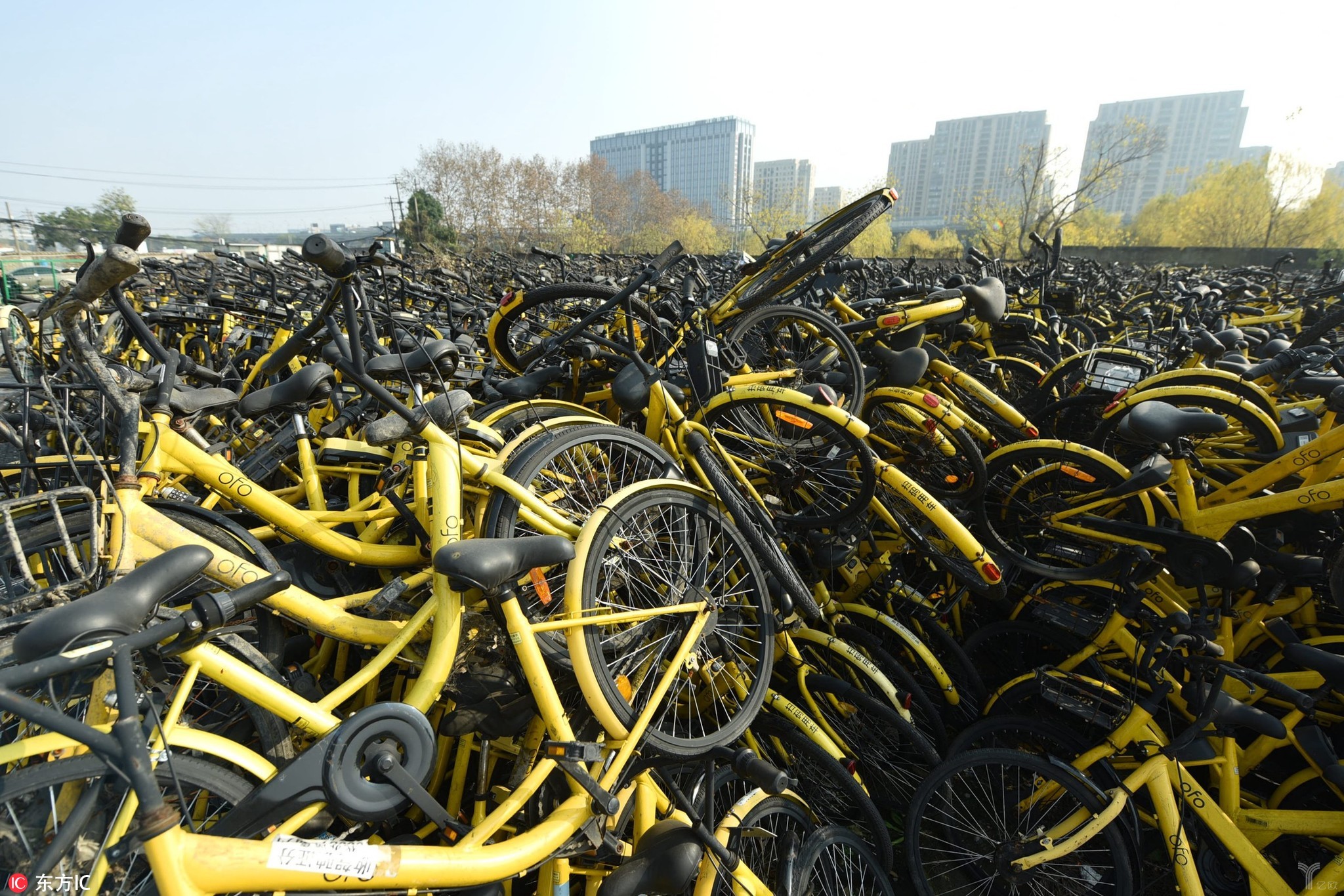 ofo,ofo,摩拜,共享經(jīng)濟(jì),共享單車