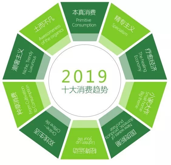 一图了解2019中国消费十大趋势真相.jpg