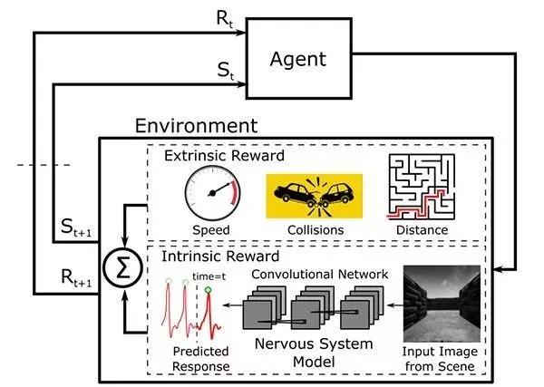 machines risk-aversion in reinforcement learning with intrinsic