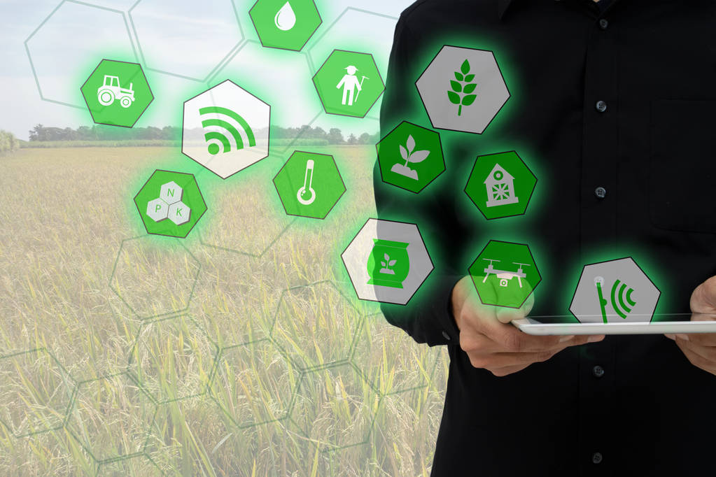 物联网与人工智能在智慧农业中的应用
