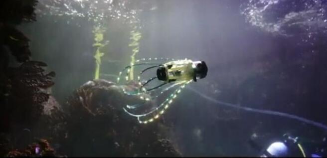 黑科技来了！美科学家研发可水下探索的鱿鱼机器人