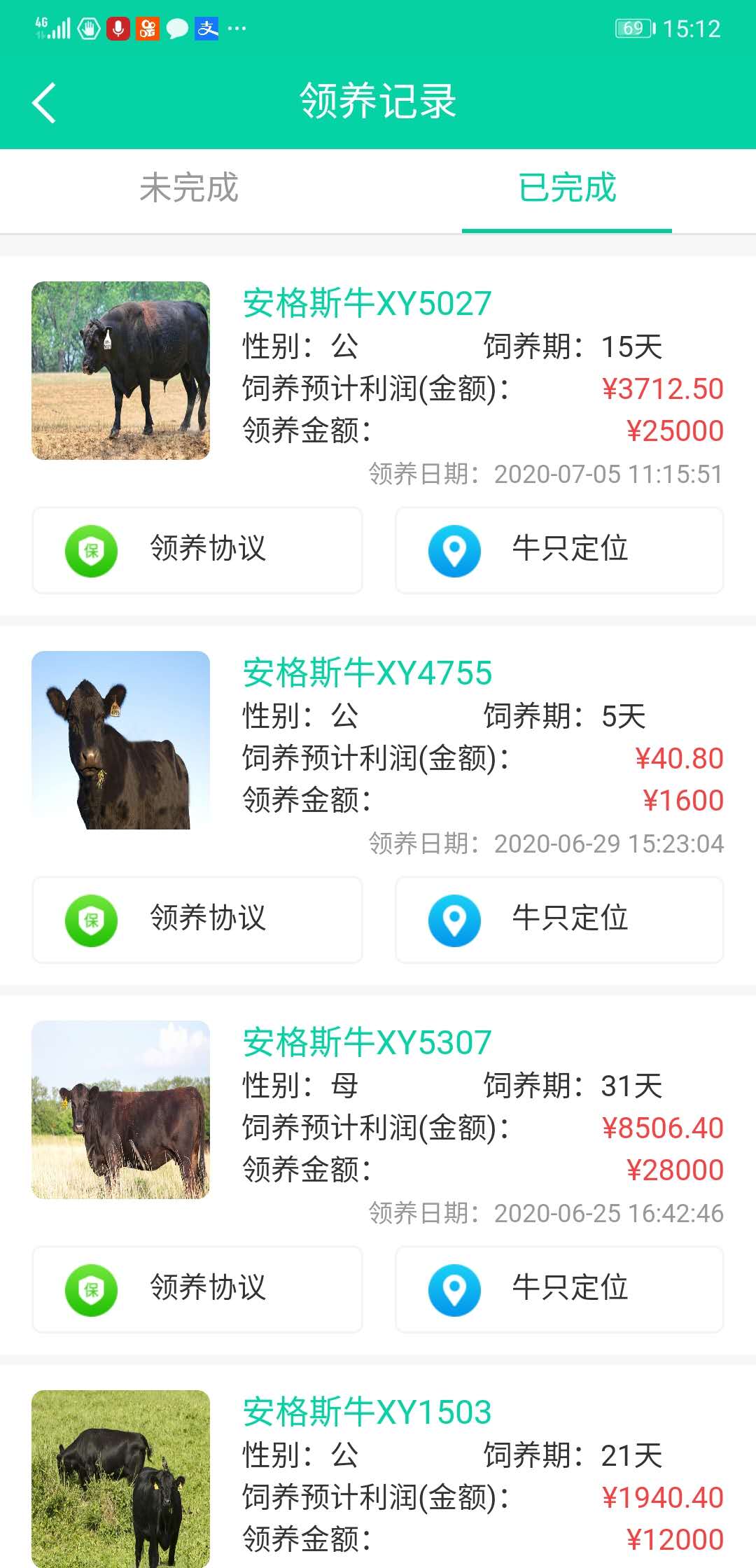 “云养牛”App骗局：多家公司信息疑被冒用，以不存在的牛骗钱