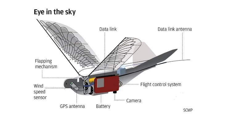 中国研发这种仿生无人机 和鸟一样能骗过雷达