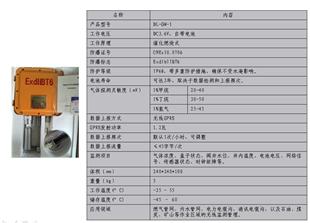 氣體泄漏智能檢測(cè)儀